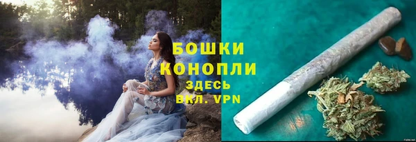 ГАЛЛЮЦИНОГЕННЫЕ ГРИБЫ Волосово