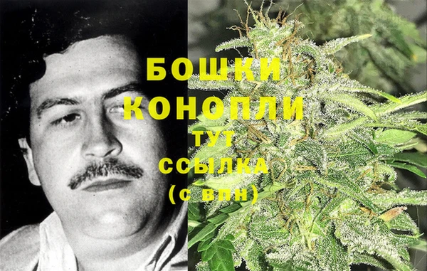 spice Вязники
