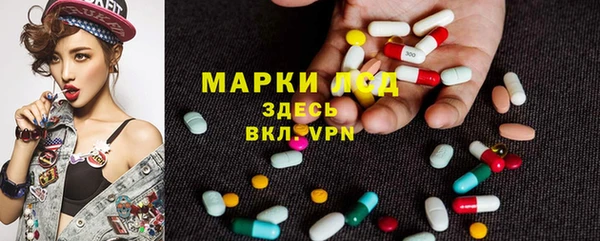 амф Осташков