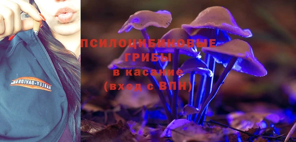 ГАЛЛЮЦИНОГЕННЫЕ ГРИБЫ Волосово