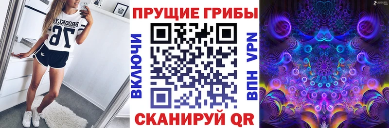 наркошоп  Железноводск  Псилоцибиновые грибы MAGIC MUSHROOMS 